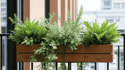 Balcony Upgrade: The Secret to Creating Greenery in Small Spaces