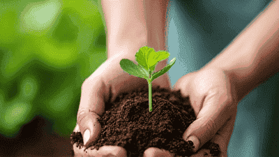 The Importance of Soil Health: Tips for Living Soil in Your Garden