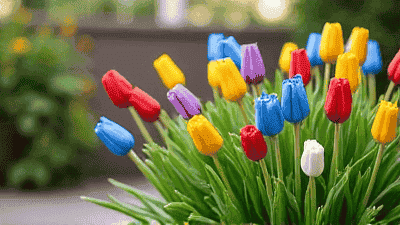 Transforming Your Small Garden into a Blooming Paradise